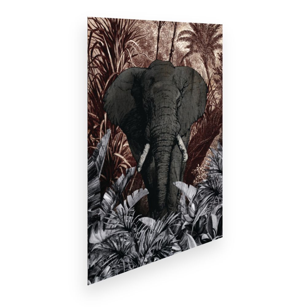 Affiche Éléphant majestueux
