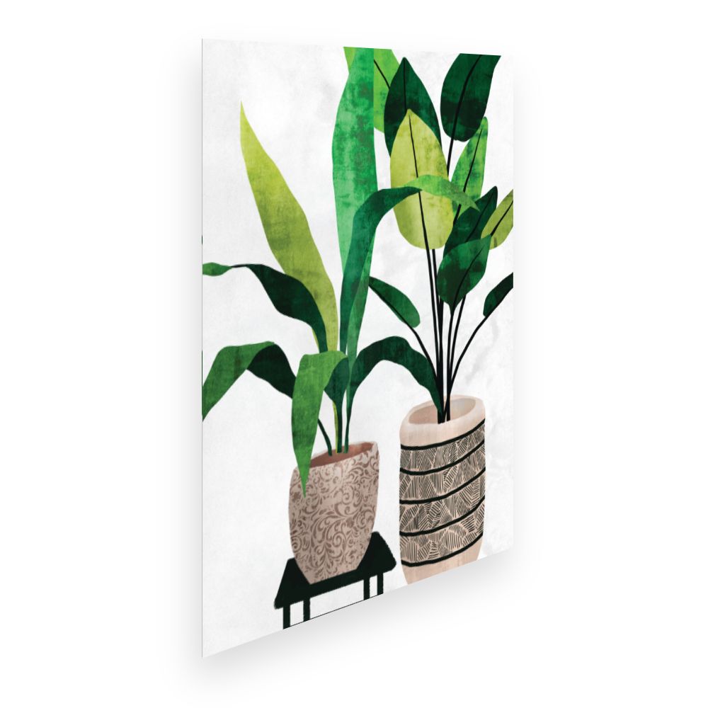 Affiche Plantes élégantes