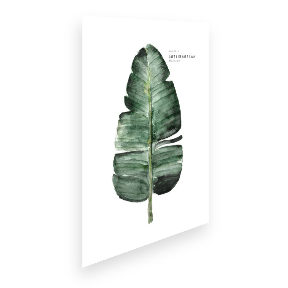Affiche Feuille exotique