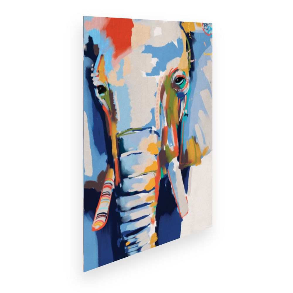 Affiche Eléphant coloré