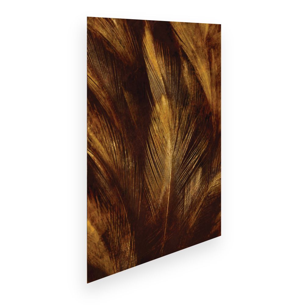 Affiche Plumes dorées élégantes