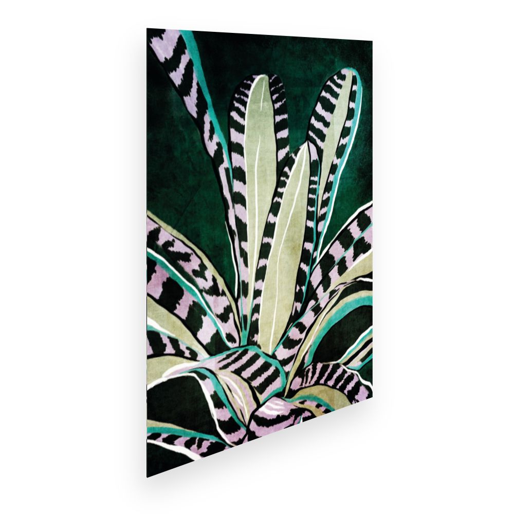 Affiche Feuilles exotiques