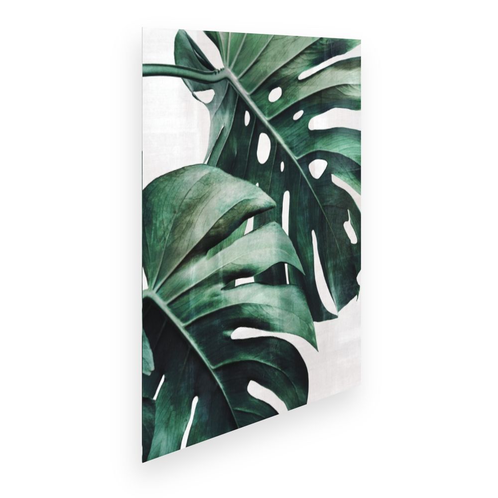 Affiche Feuillage tropical luxueux