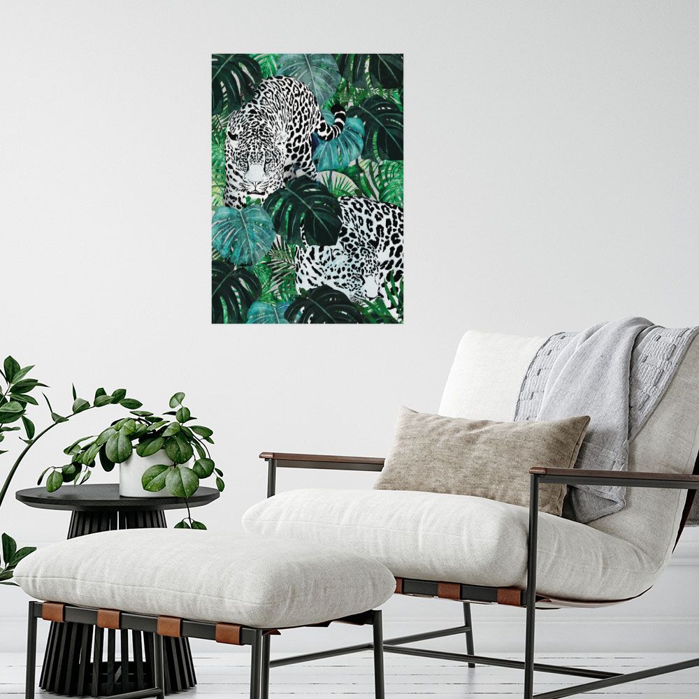 Affiche Jaguars exotiques