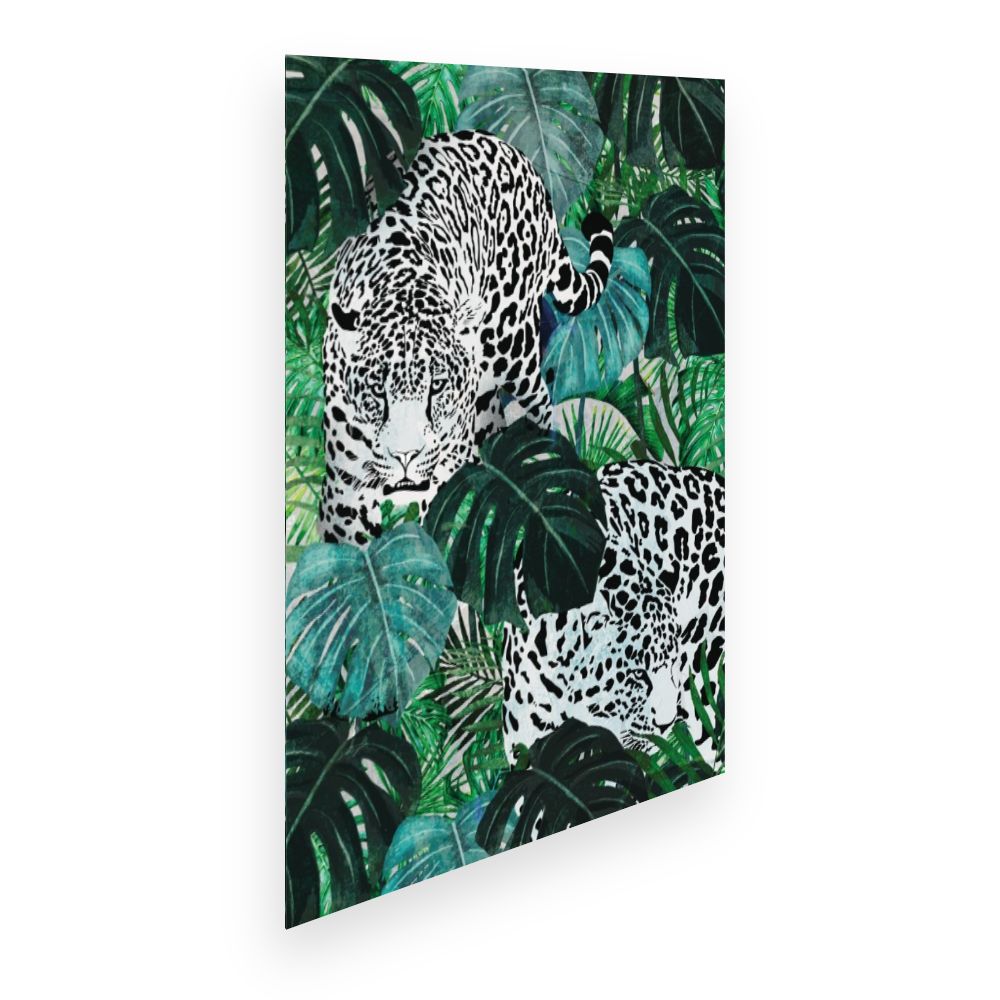 Affiche Jaguars exotiques