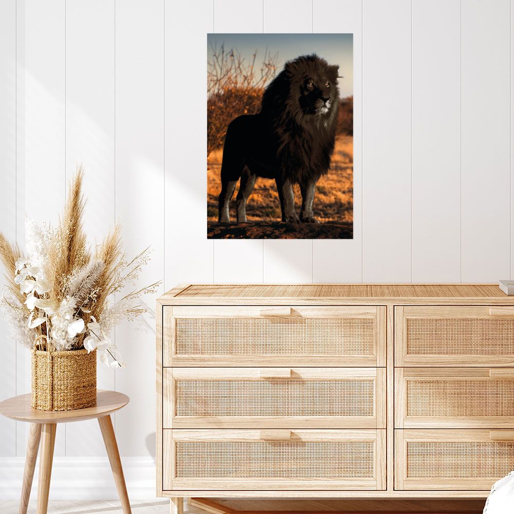 Affiche Lion majestueux