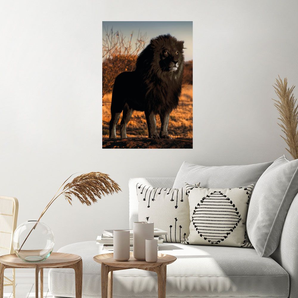 Affiche Lion majestueux