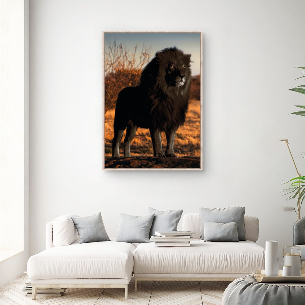 Tableau Lion majestueux