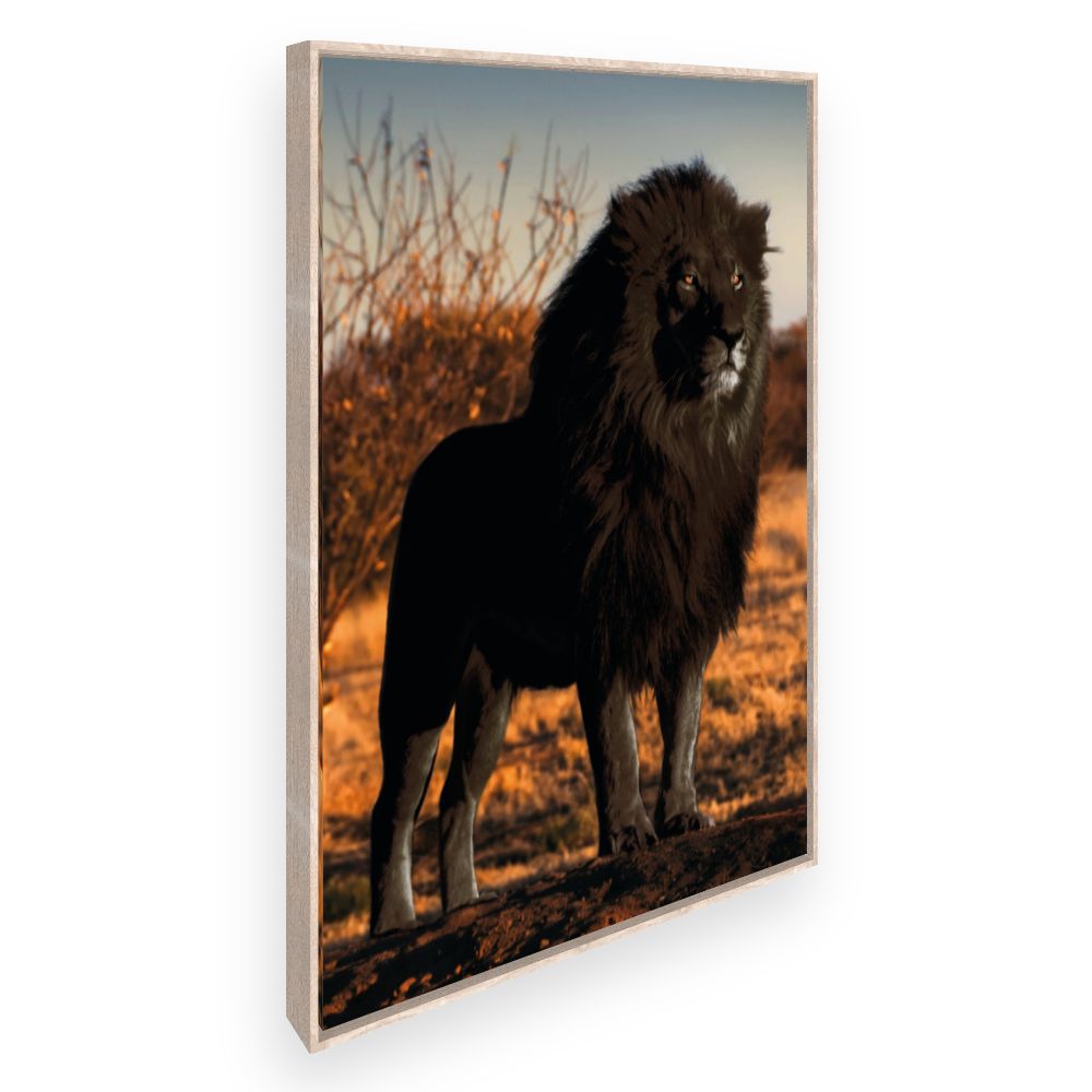Toile Lion majestueux