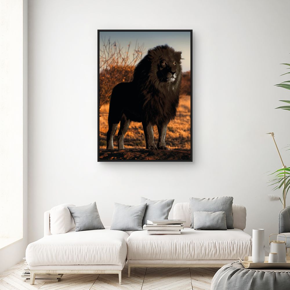 Tableau Lion majestueux