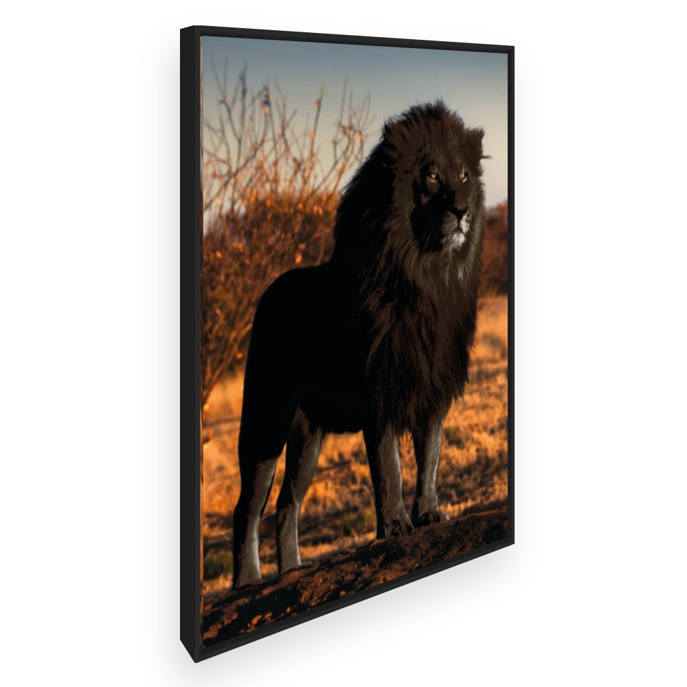 Toile Lion majestueux