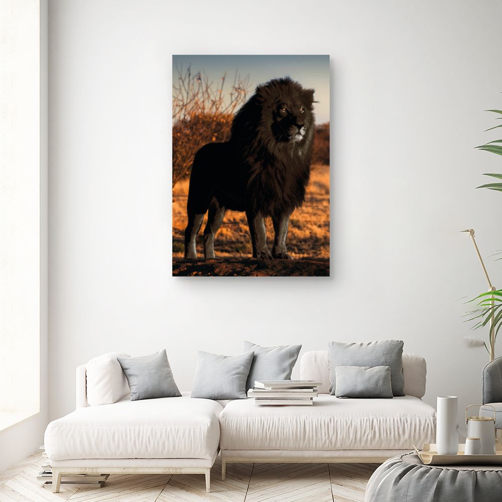 Tableau Lion majestueux