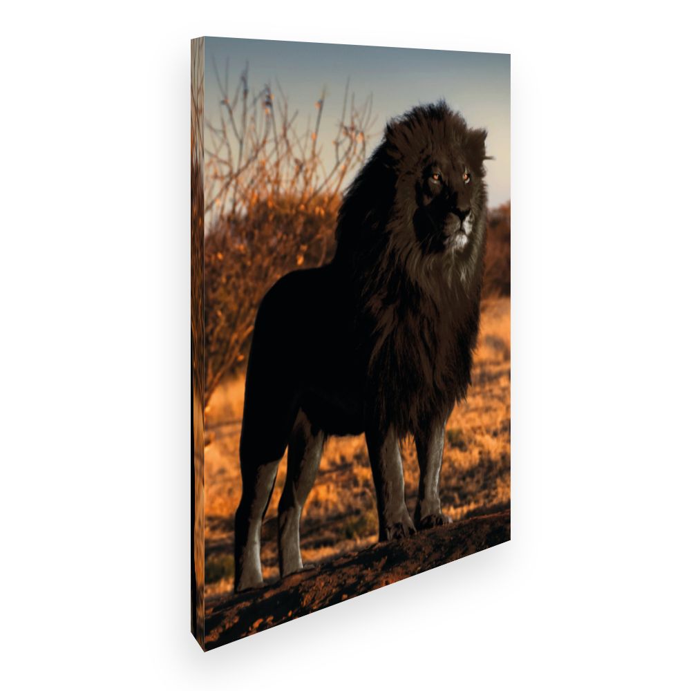 Toile Lion majestueux