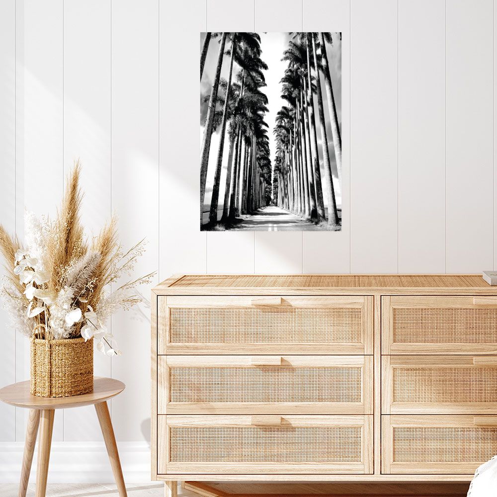 Affiche Allée de palmiers