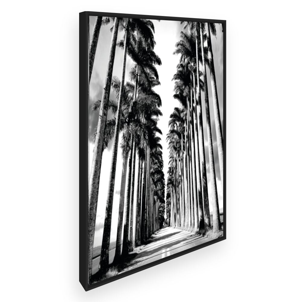 Toile Allée de palmiers