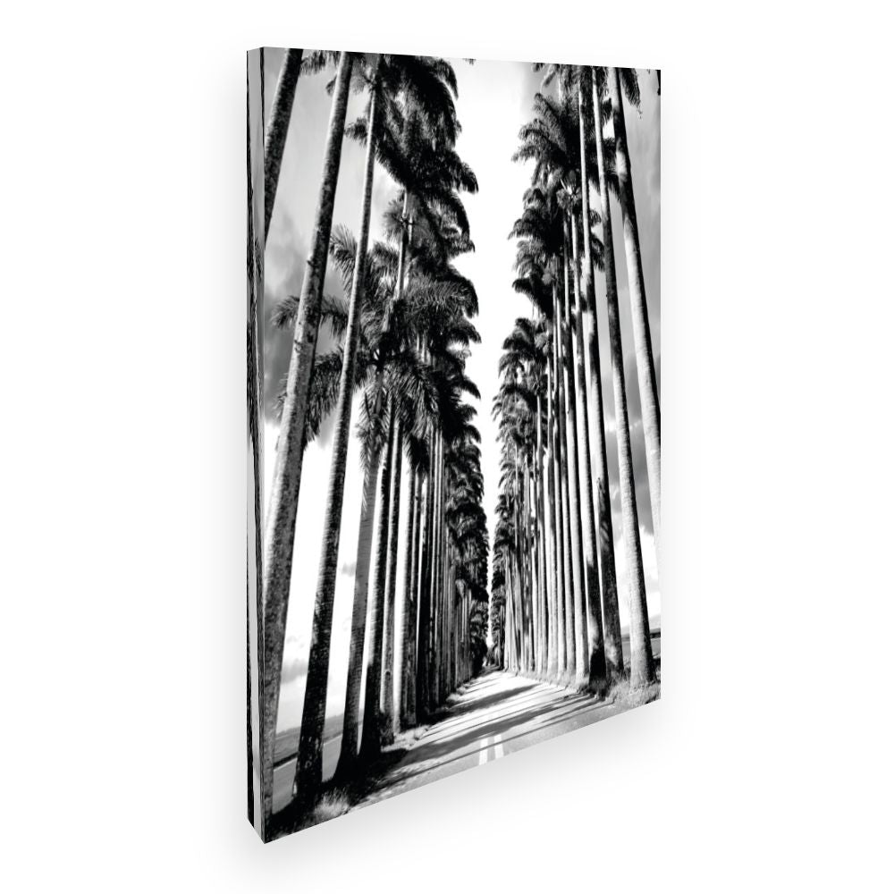 Toile Allée de palmiers