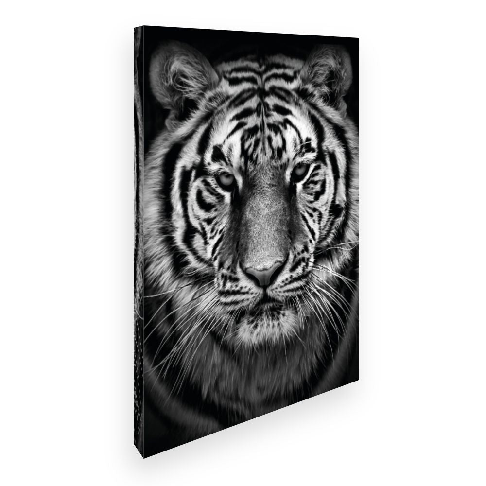 Toile Tigre majestueux