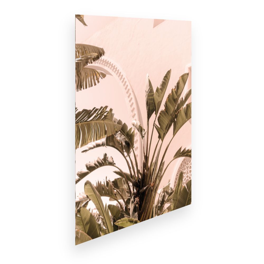 Affiche Feuilles tropicales élégantes