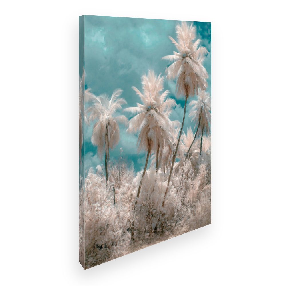 Toile Palmiers oniriques