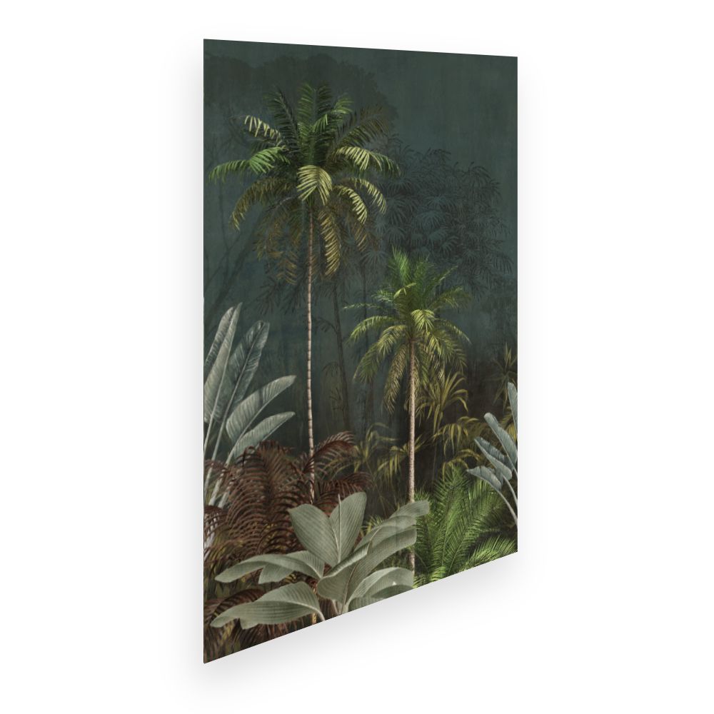Affiche Palmiers exotiques