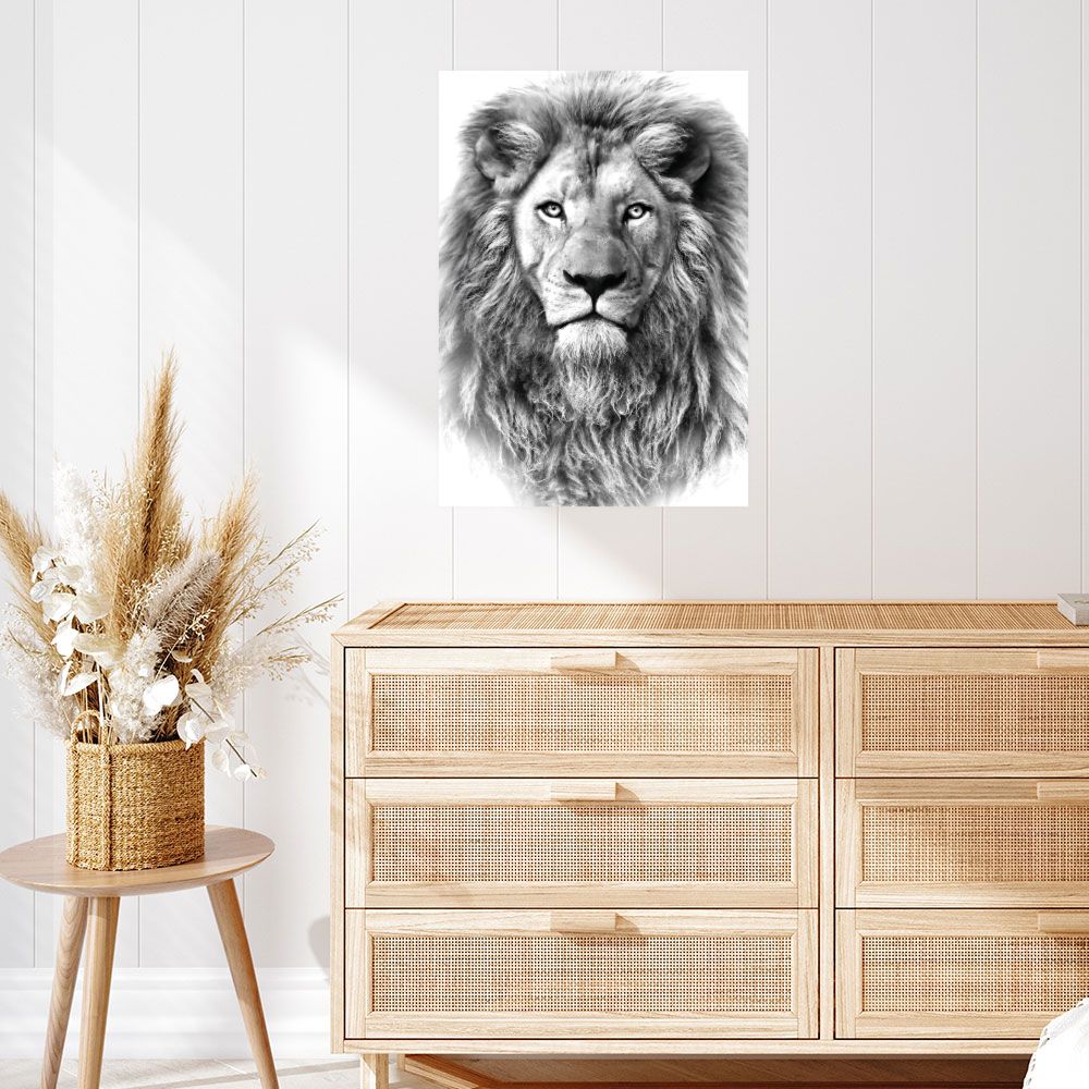 Affiche Regard majestueux