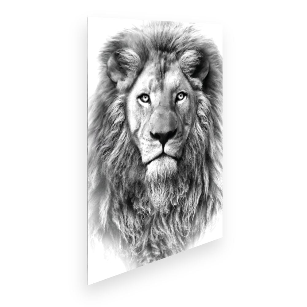 Affiche Regard majestueux