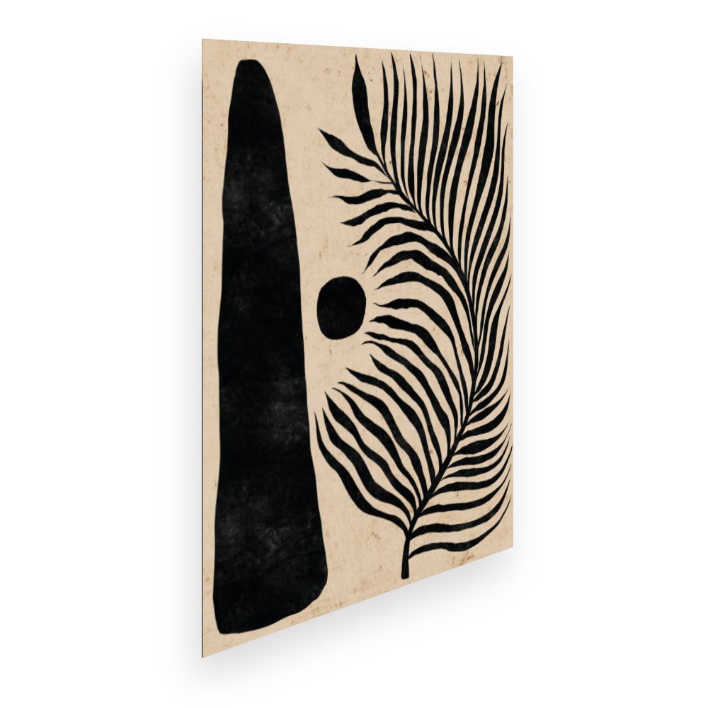 Affiche Ombres exotiques
