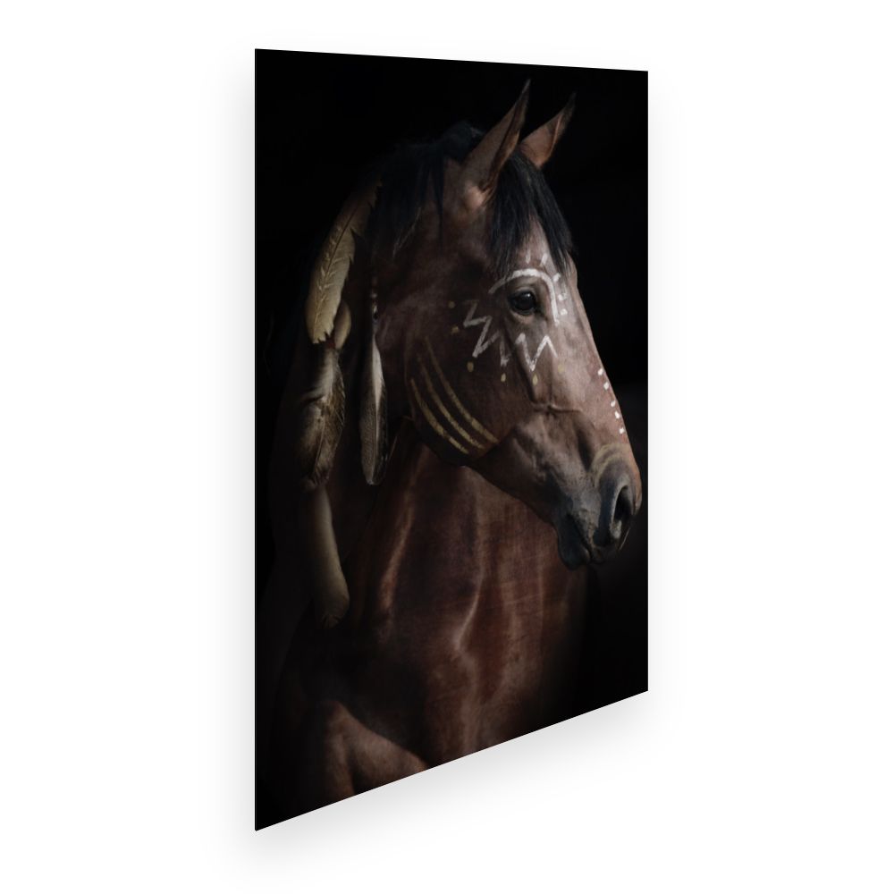 Affiche Cheval majestueux