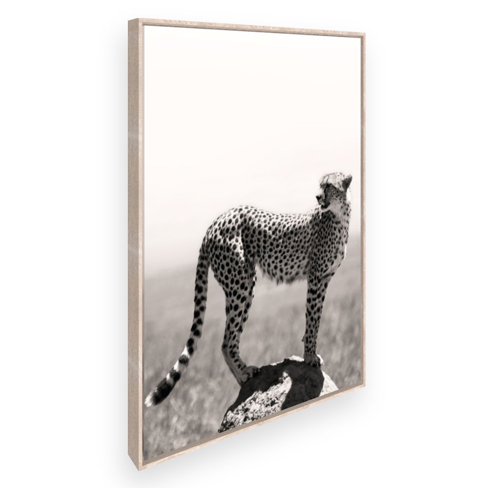 Toile Guépard vigilant