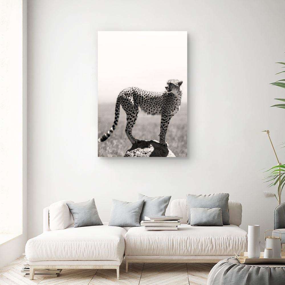 Tableau Guépard vigilant