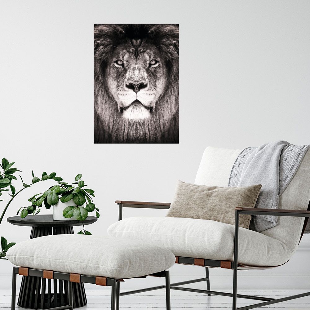 Affiche Lion majestueux