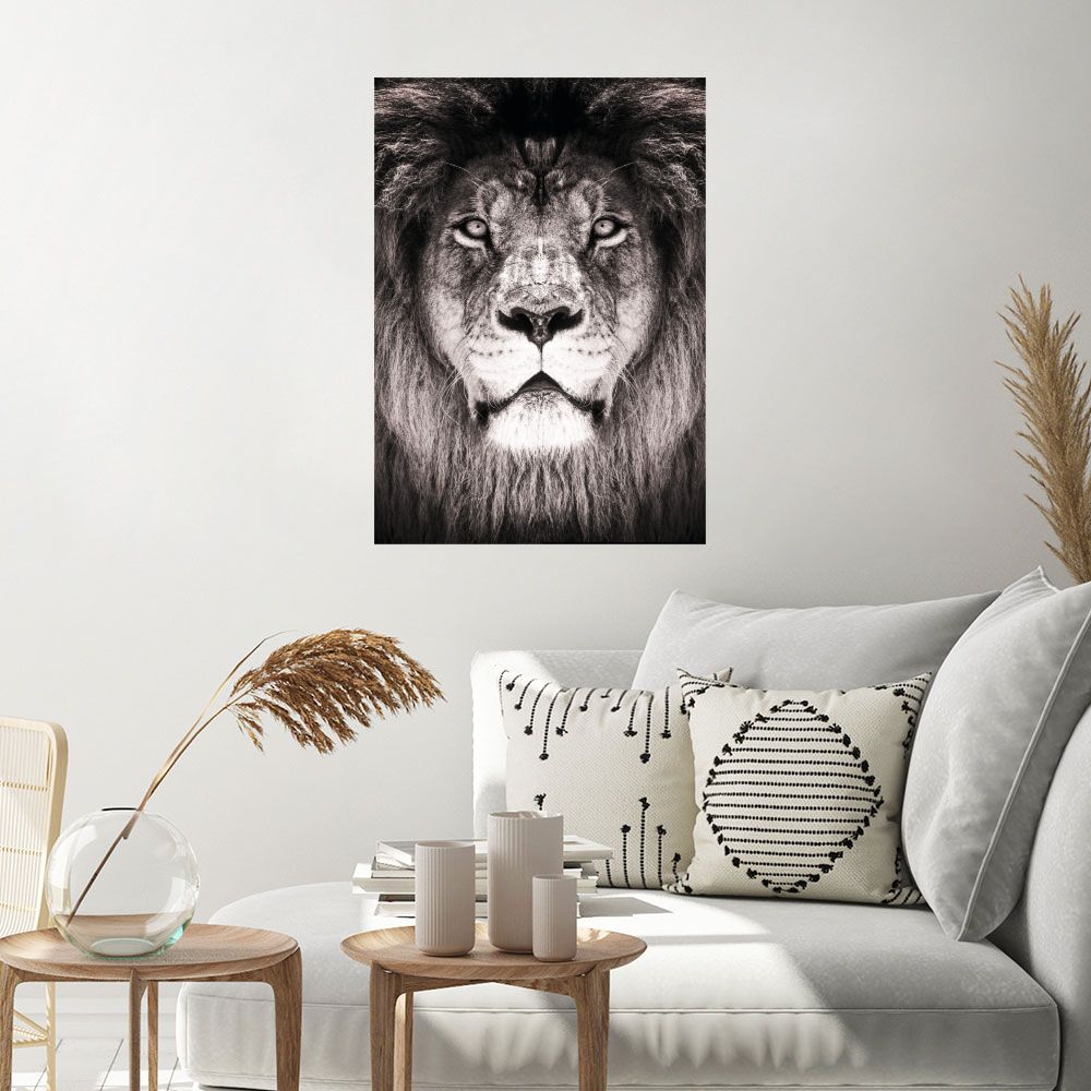 Affiche Lion majestueux