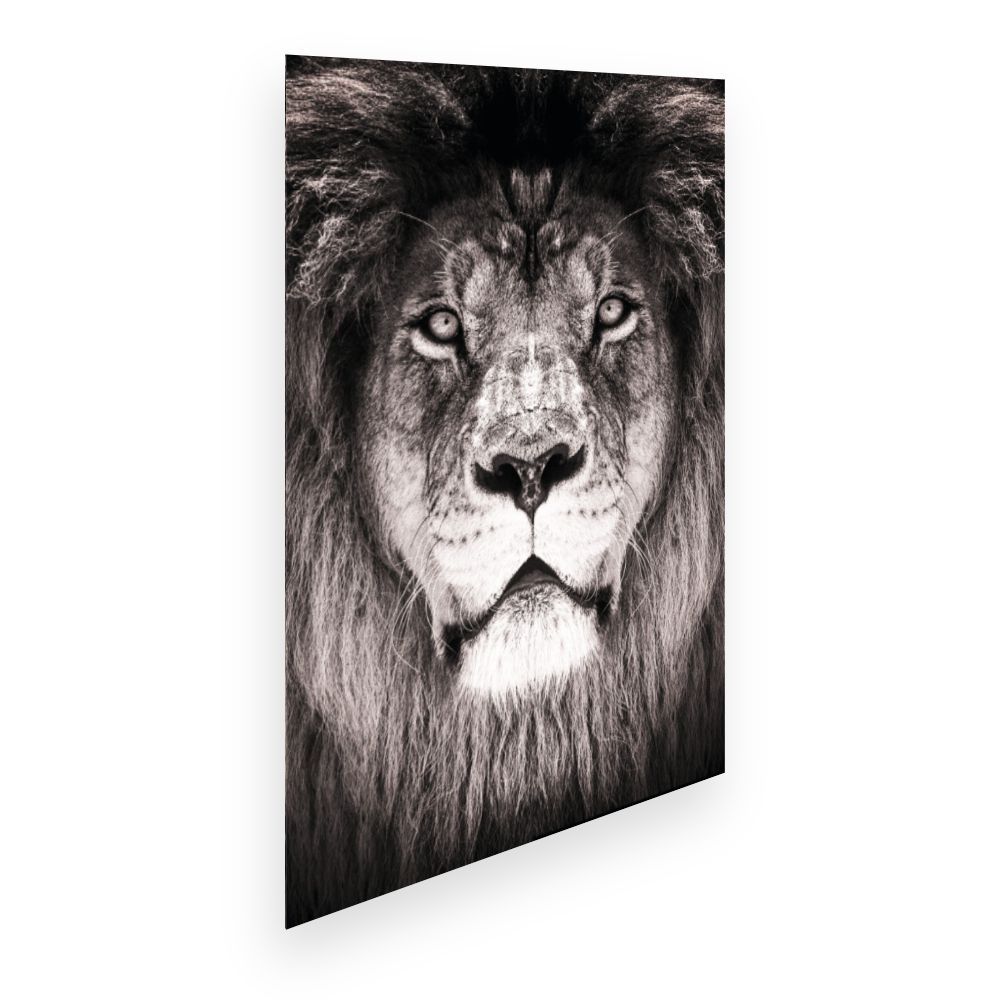 Affiche Lion majestueux