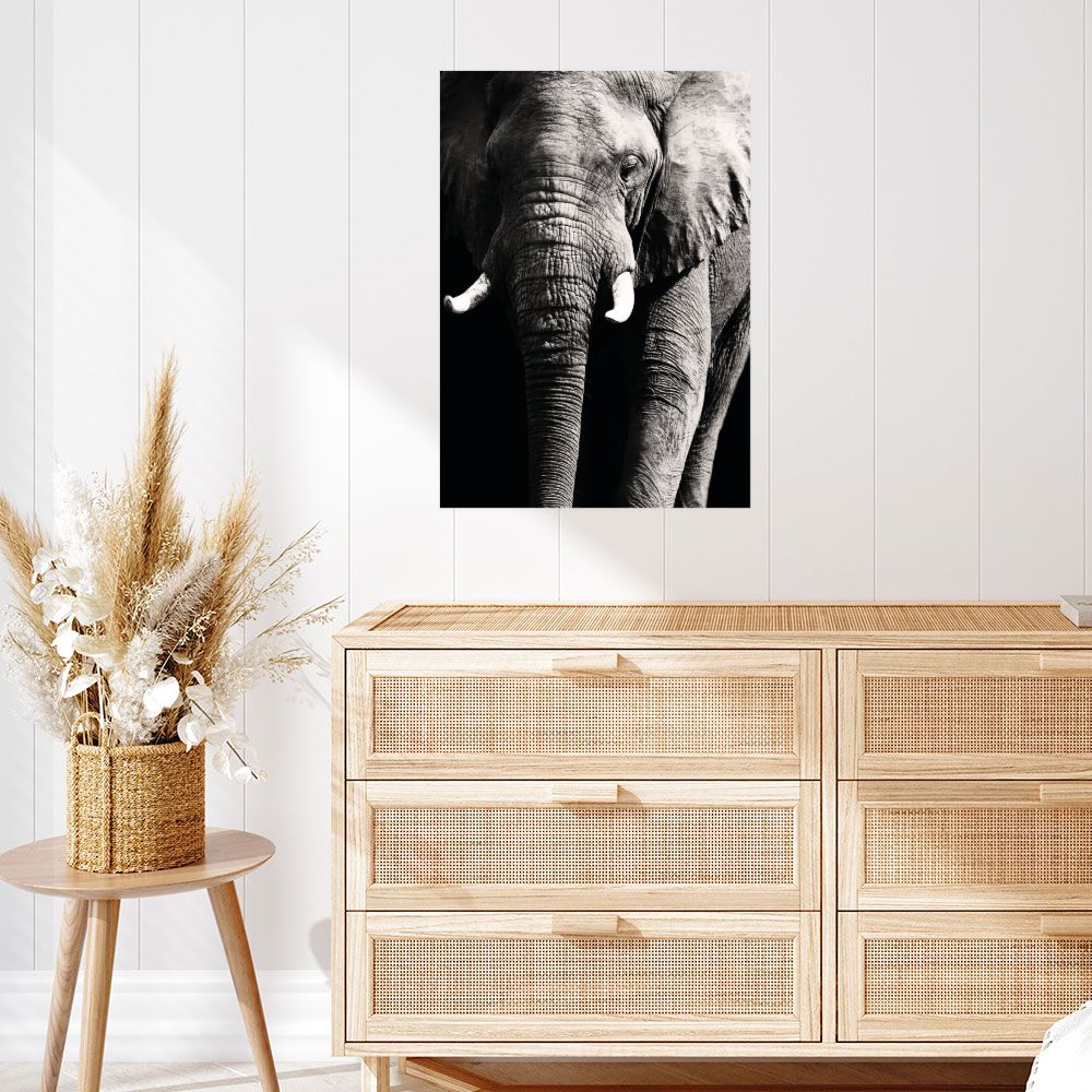 Affiche Éléphant majestueux