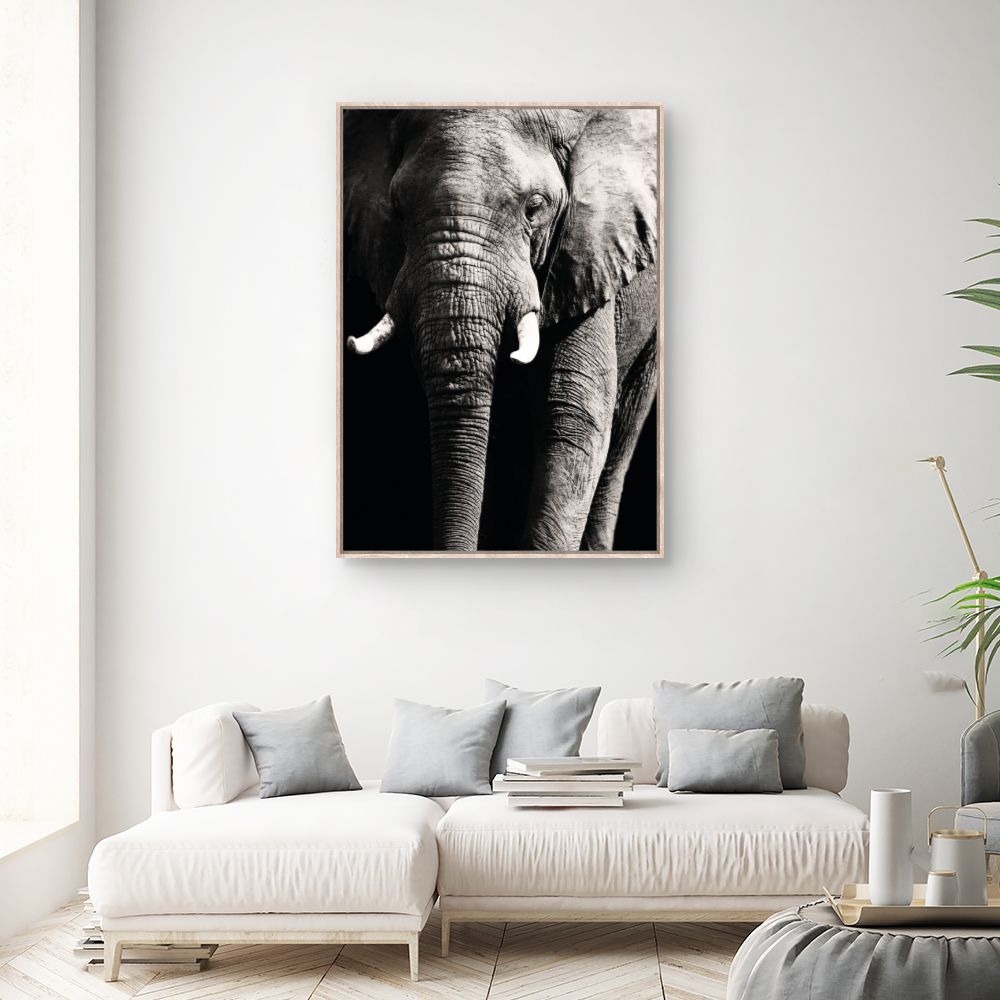 Tableau Éléphant majestueux