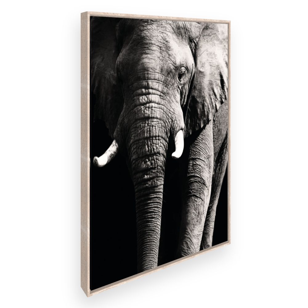 Toile Éléphant majestueux