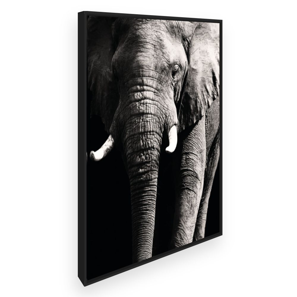 Toile Éléphant majestueux
