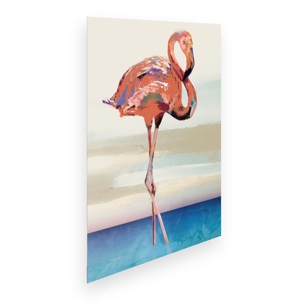 Affiche Flamant vibrant