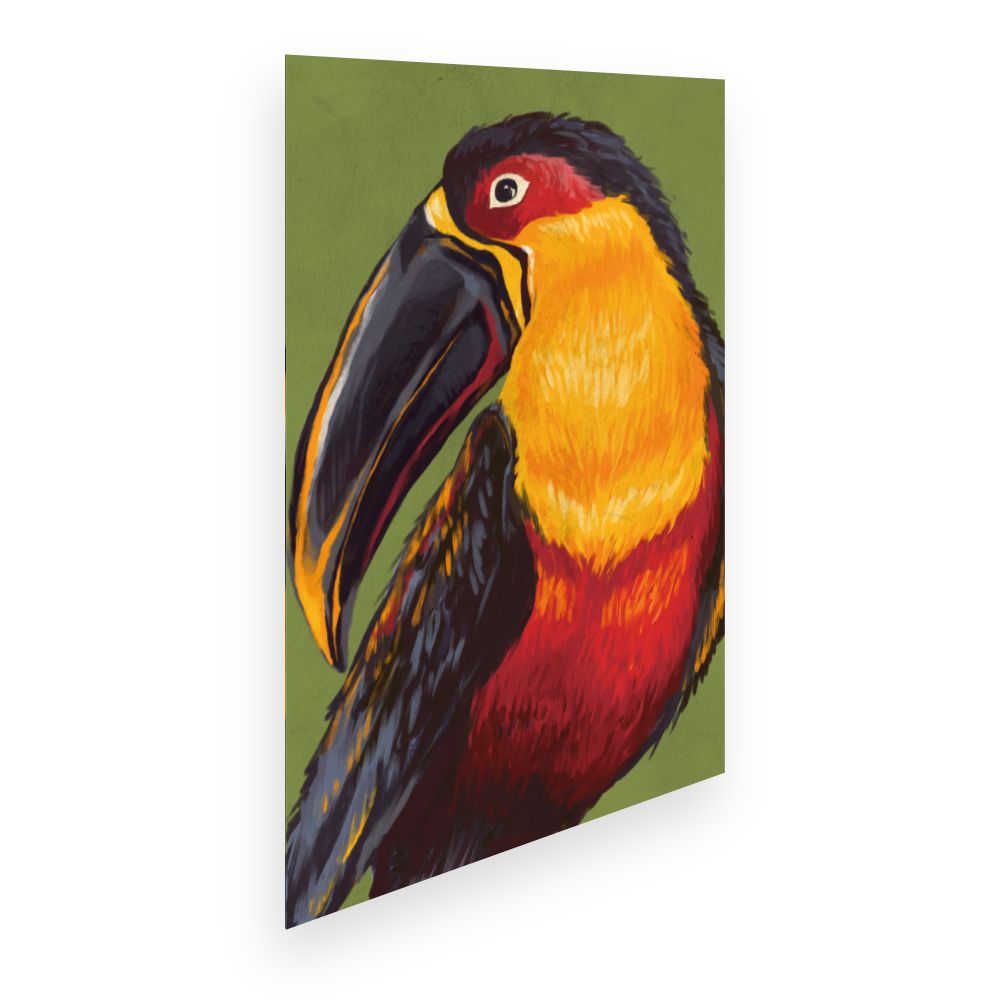 Affiche Toucan coloré