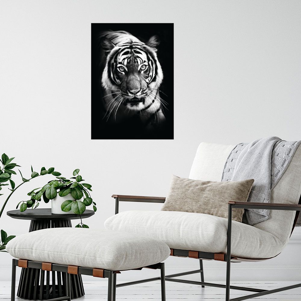 Affiche Tigre majestueux