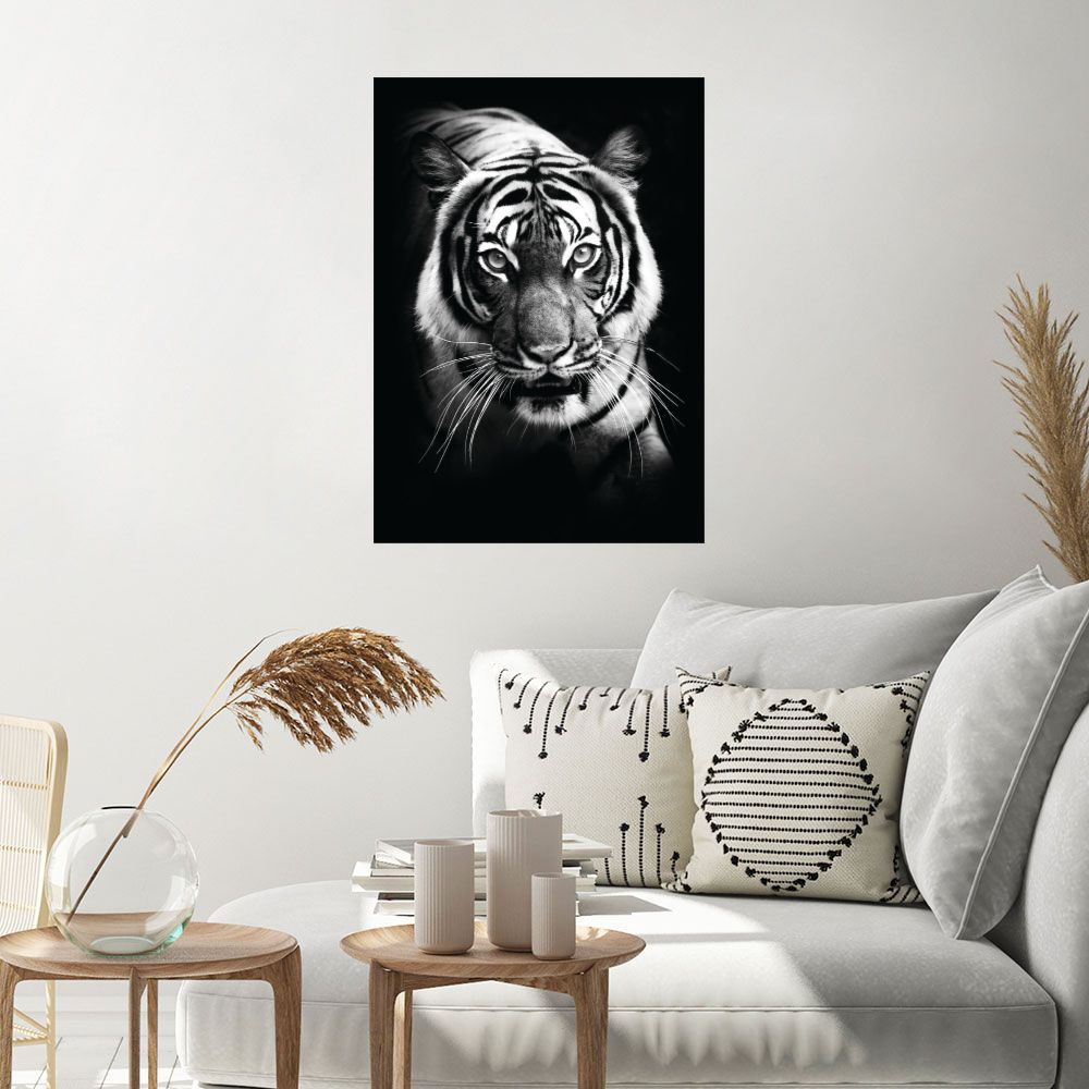 Affiche Tigre majestueux