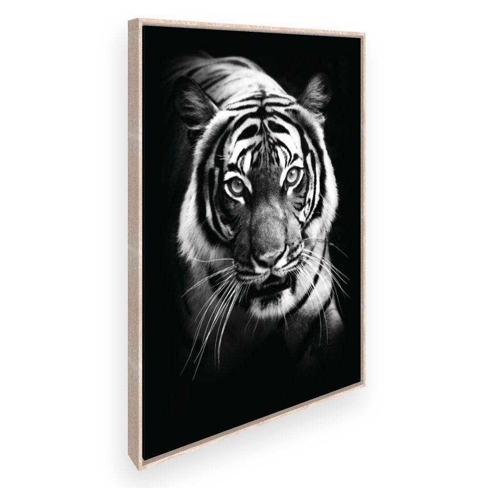 Toile Tigre majestueux