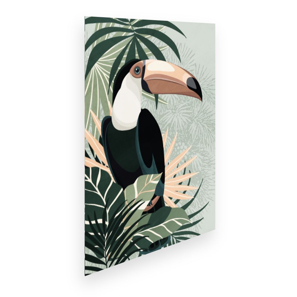 Affiche Toucan exotique