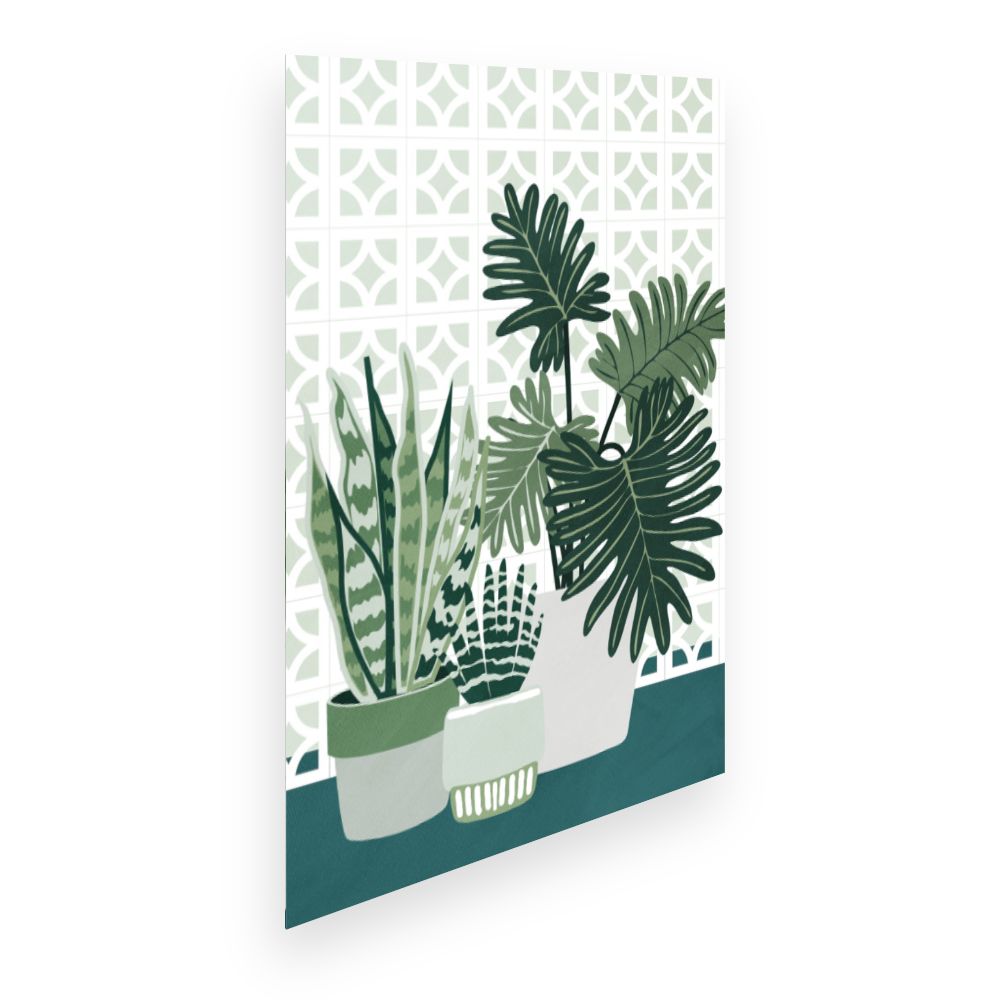 Affiche Plantes élégantes
