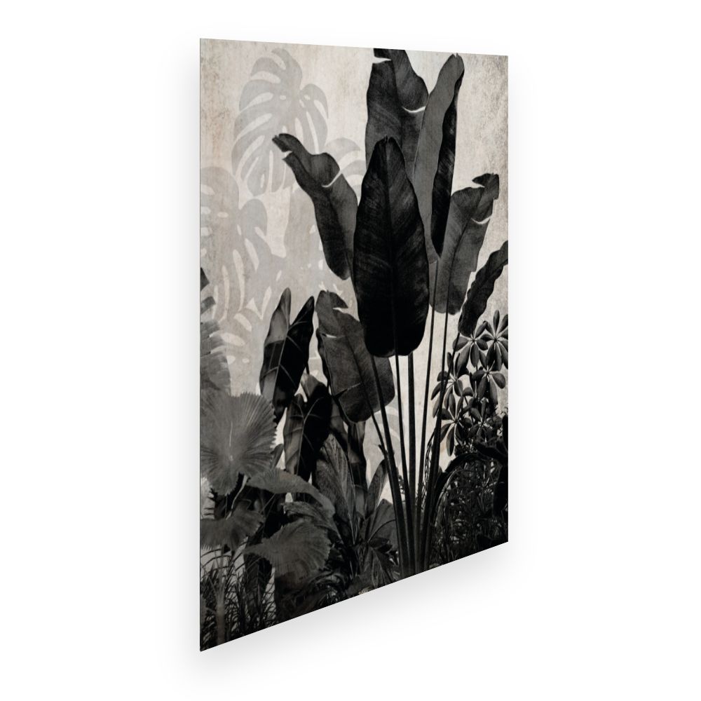 Affiche Feuillage exotique