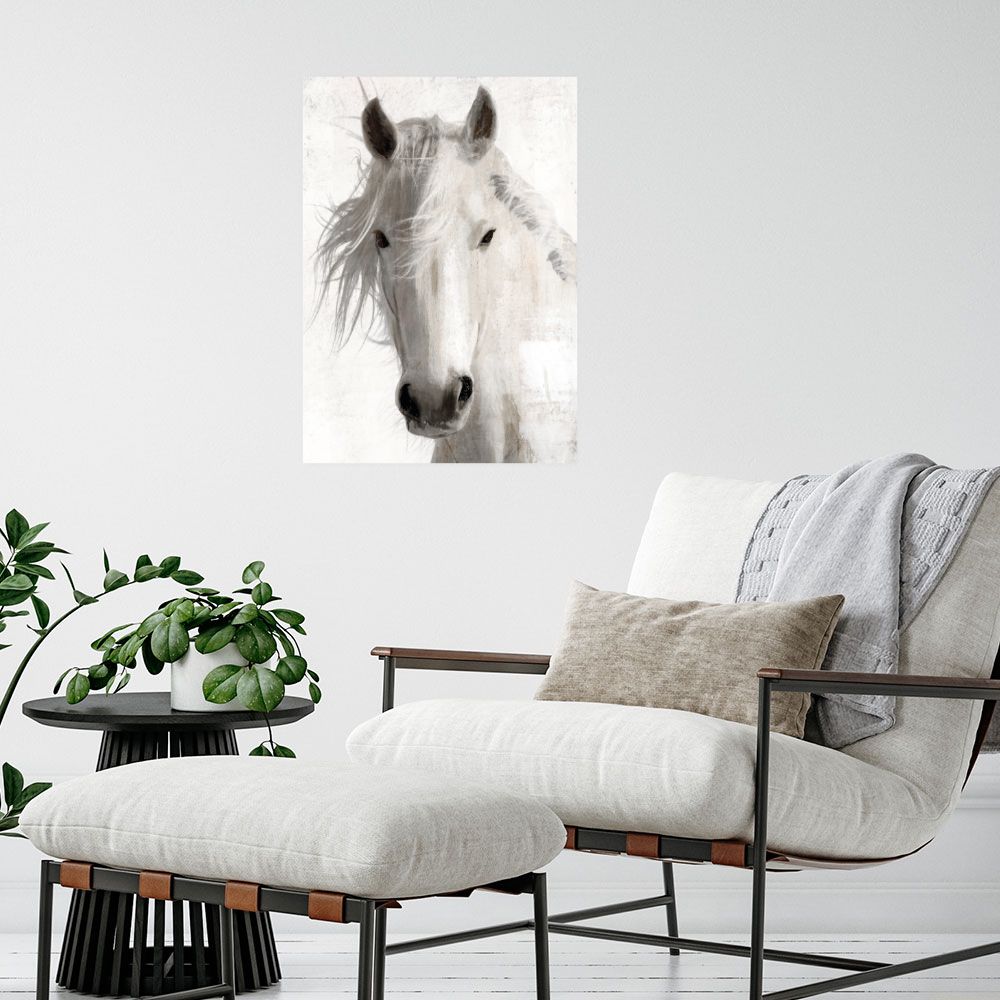 Affiche Cheval majestueux