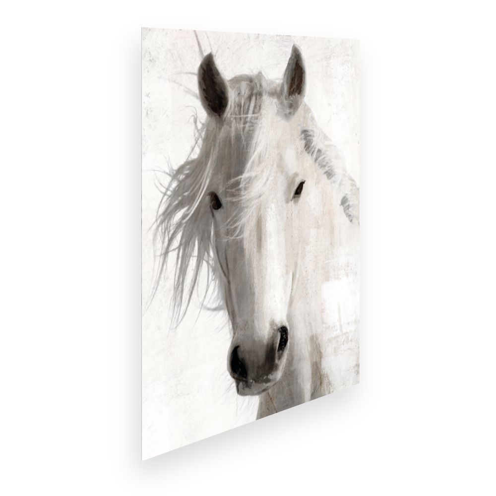 Affiche Cheval majestueux