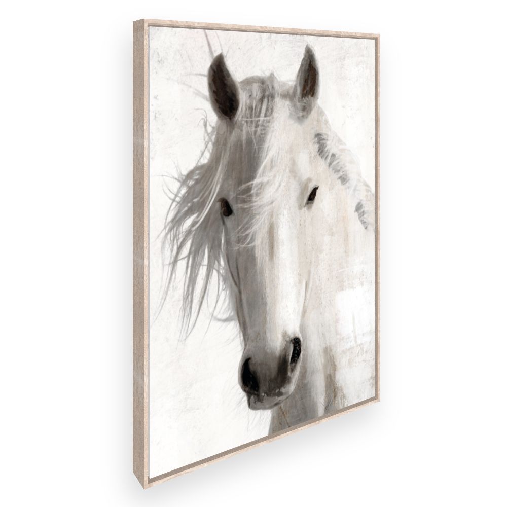 Toile Cheval élégant