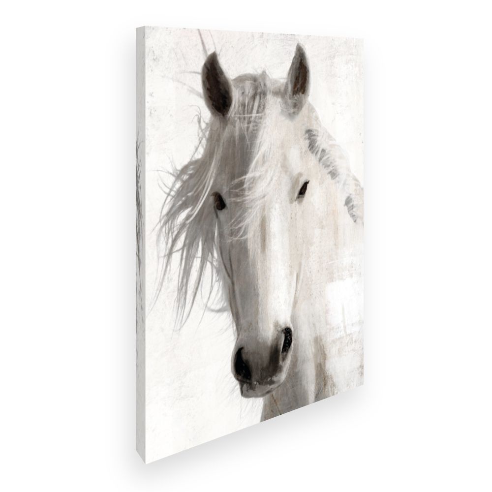 Toile Cheval élégant