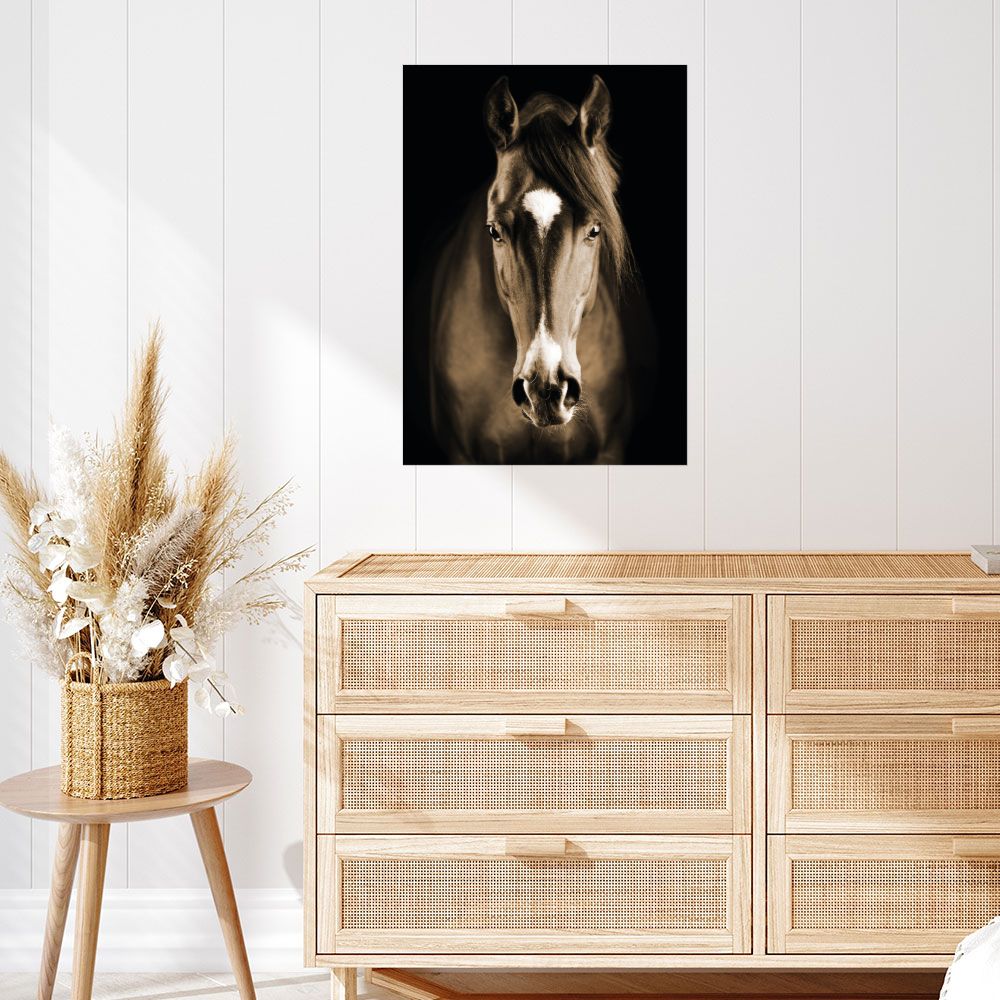 Affiche Cheval majestueux